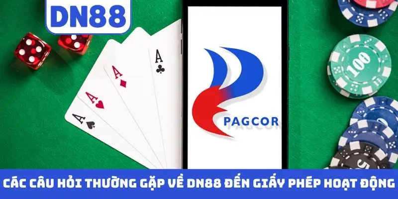 Các Câu Hỏi Thường Gặp Về DN88 - Giải Đáp Chi Tiết Cụ Thể
