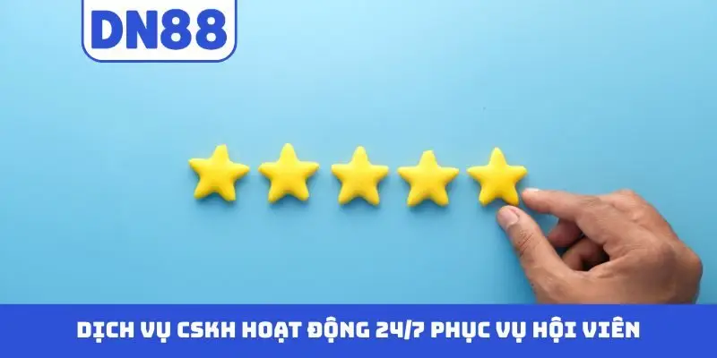 Các Câu Hỏi Thường Gặp Về DN88 - Giải Đáp Chi Tiết Cụ Thể