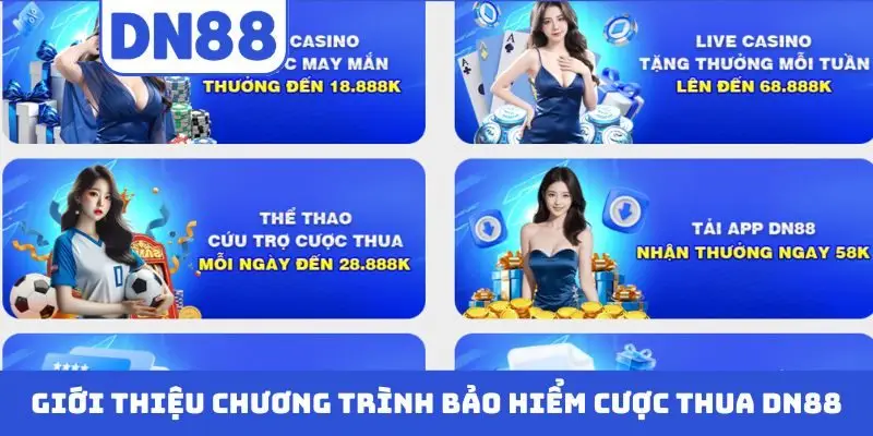 Bảo Hiểm Cược Thua DN88 - Chính Sách Hoàn Trả Hấp Dẫn