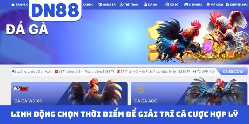 Cách Tham Gia DN88 Không Bị Chặn - Cập Nhật Link Chuẩn 2026
