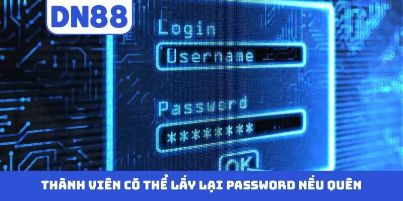 Cách Xử Lý Khi Quên Mật Khẩu DN88 An Toàn Và Nhanh Chóng